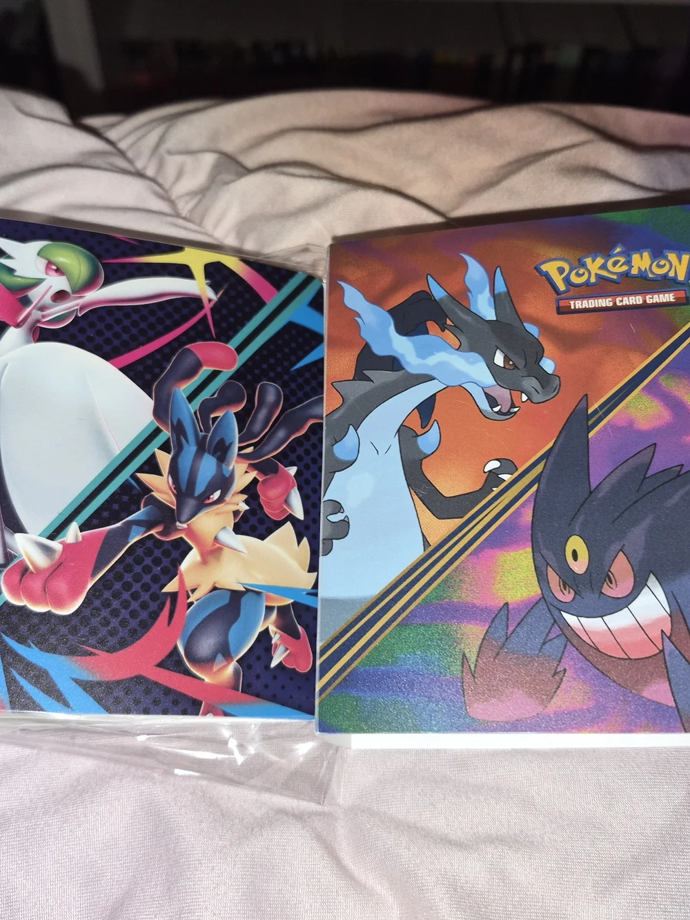 Pokémon Mini Portfolio Books